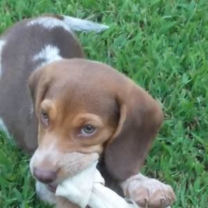 Meet your Posher, Hayden